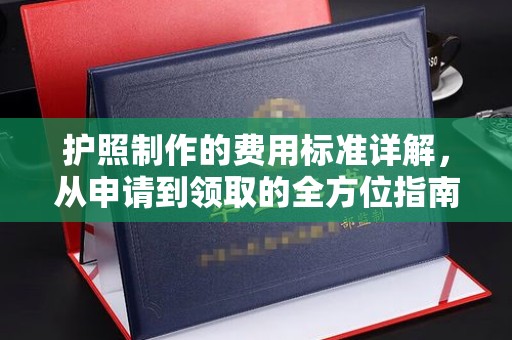 湖口护照制作的费用标准详解，从申请到领取的全方位指南